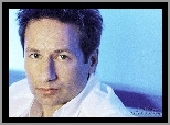 ciemne włosy, David Duchovny, biała koszula